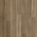 ASH BROWN