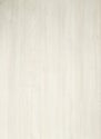 BLANK CANVAS