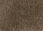 METALLIC BEIGE