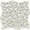 EGGSHELL