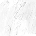 CARRARA WHITE