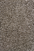 PEBBLE