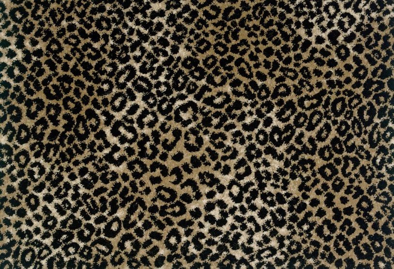 Stanton Carpet | Stanton | Lake Jaguar Taupe Black