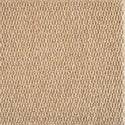 BEIGE BEACH