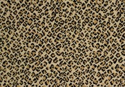 TRUE LEOPARD