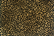 Stanton Carpet | Stanton | Lake Jaguar Gold Black