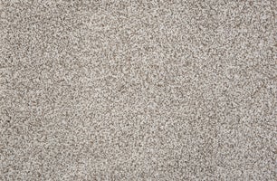PEBBLE