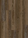 BARK