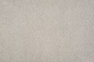 GREY DOVE