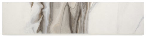 PRESTIGE POLISHED BU