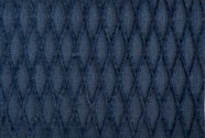 BLUE MACAW