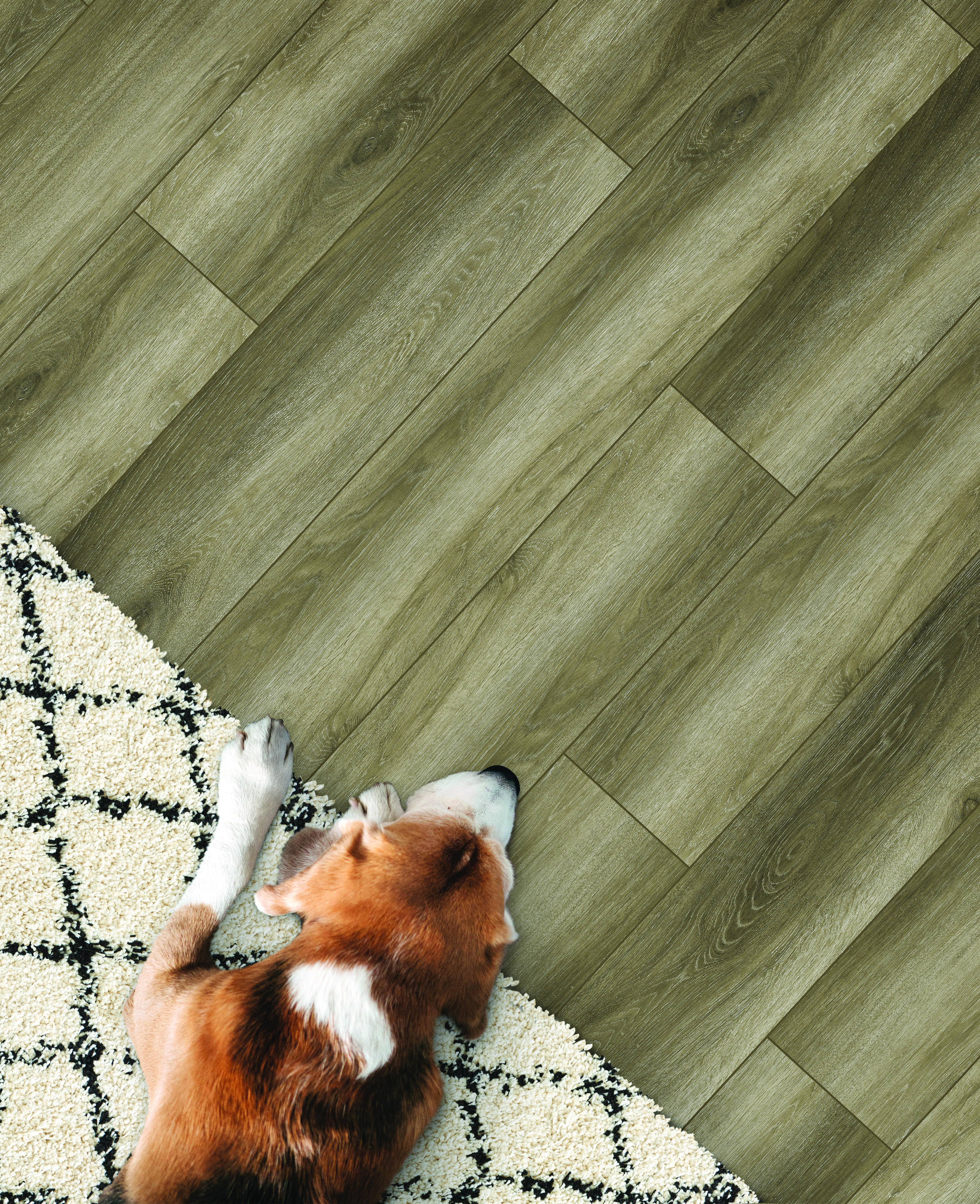 Smoke flooring, shown in a room