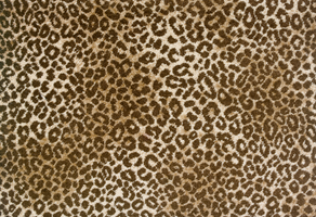 BEIGE BROWN