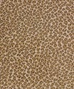 BEIGE BROWN