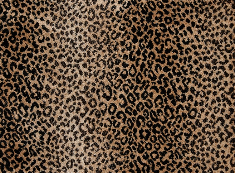 Stanton Carpet | Stanton | Mufasa Bronze