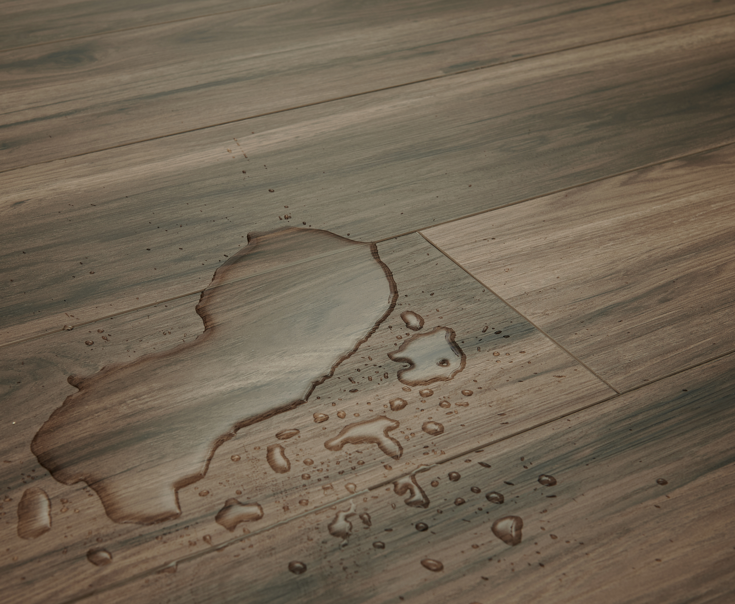 Stanton Carpet Stanton Decorative Waterproof Flooring Timber Land