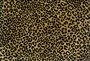 GOLD BLACK
