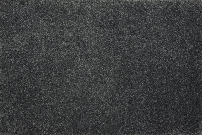 Stanton Carpet Stanton Evolve Charcoal