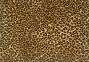 SAND BROWN