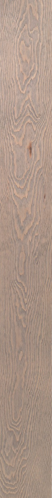 Western Hemlock – Driftwood 23