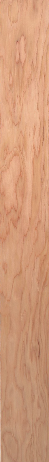Western Hemlock – Clear 06
