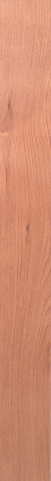 Western Hemlock – Cherry 15