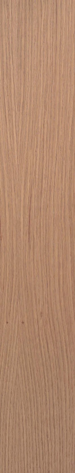 White Oak – Oak 16