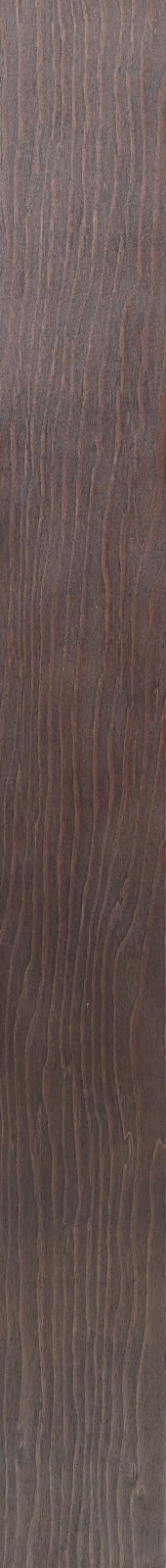 Western Hemlock – Ebony 11