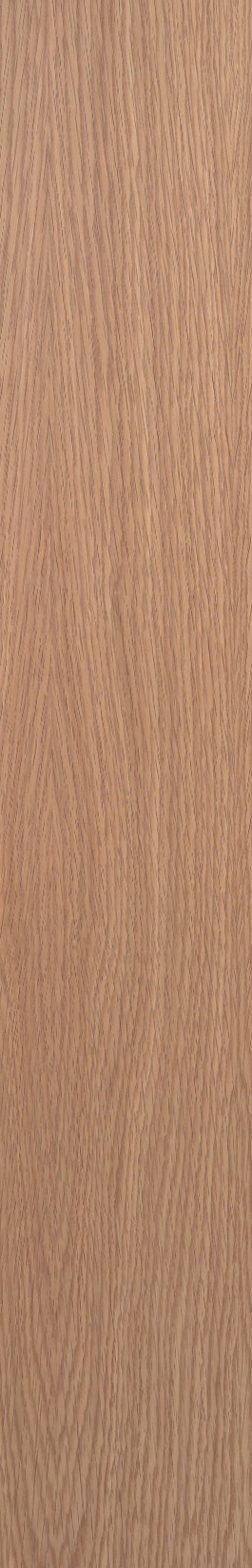 White Oak – Oak 20