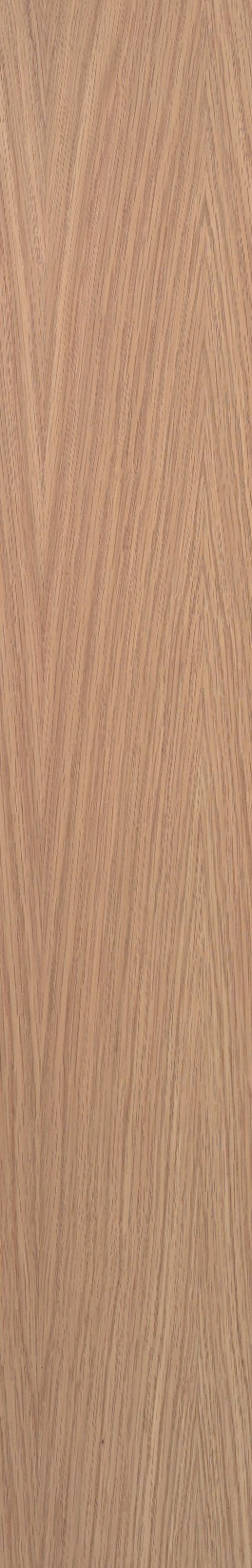White Oak – Oak 13