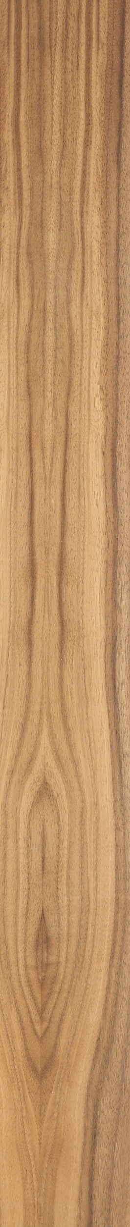 QS Walnut Veneer – Clear 14