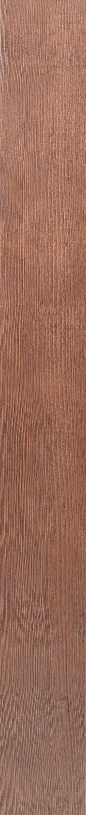 Western Hemlock – Walnut 31