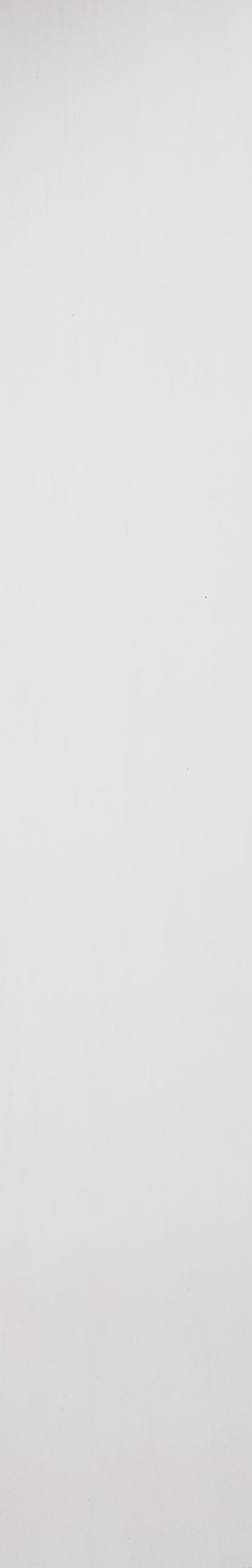 White Maple – White Opaque 11