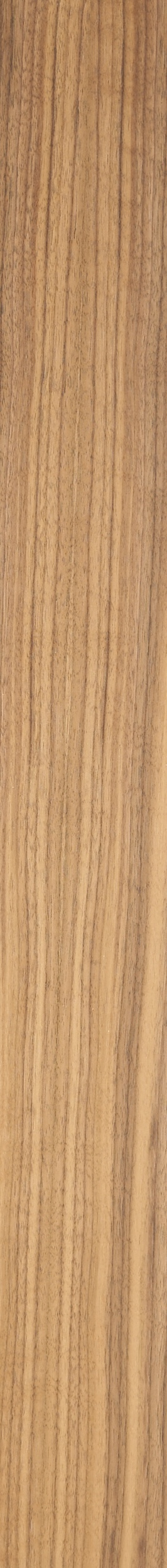 QS Walnut Veneer – Clear 31