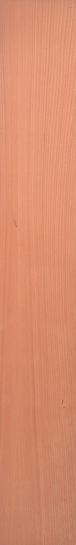 Cherry – Fir 15