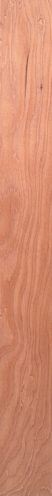 Western Hemlock – Cherry 02