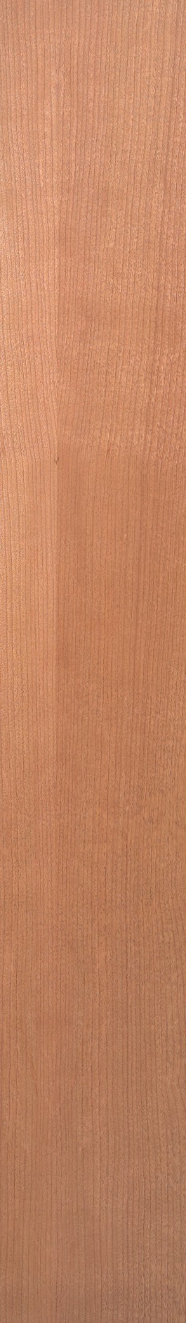 Cherry – Teak 05