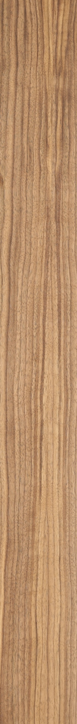 QS Walnut Veneer – Clear 32
