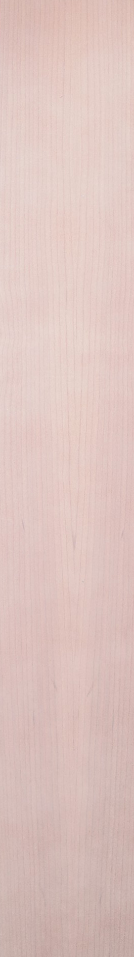 Cherry – Pickle 20