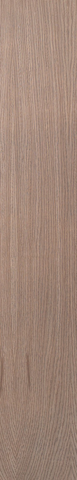White Oak – Driftwood 04