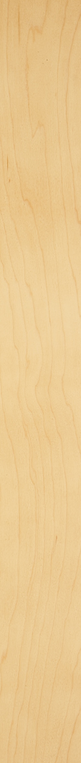 PS White Maple Veneer – Hemlock 05