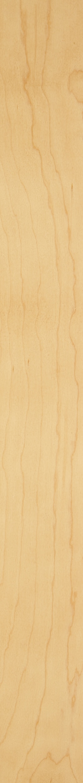 PS White Maple Veneer – Hemlock 24