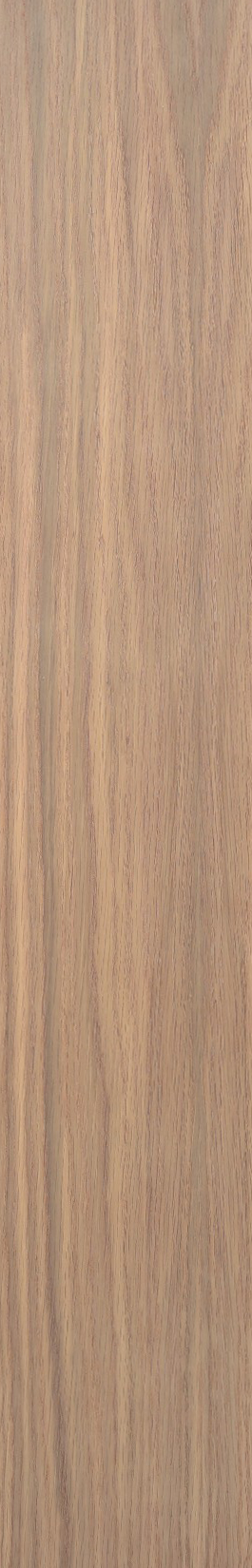 White Oak – Maple 06