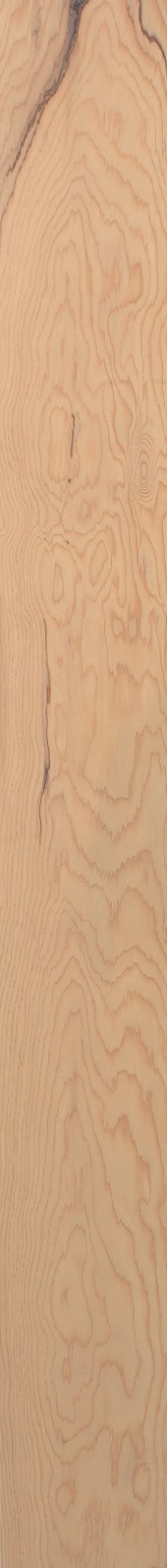Western Hemlock – Maple 37