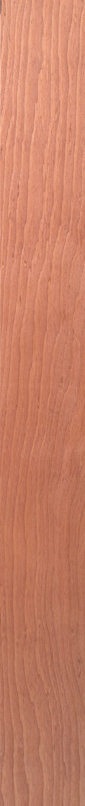 Western Hemlock – Cherry 24