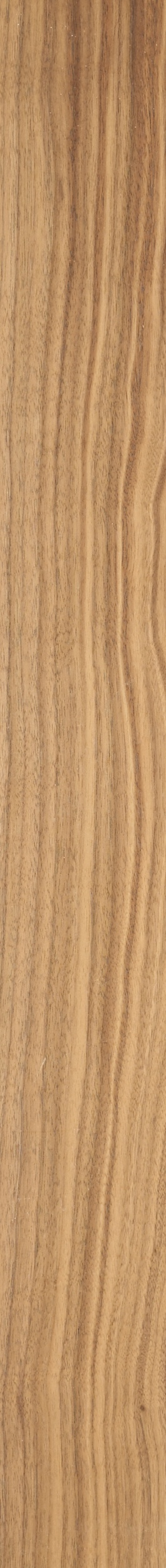 QS Walnut Veneer – Clear 21