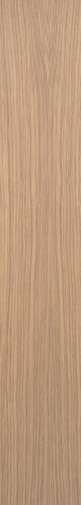 White Oak – Maple 19