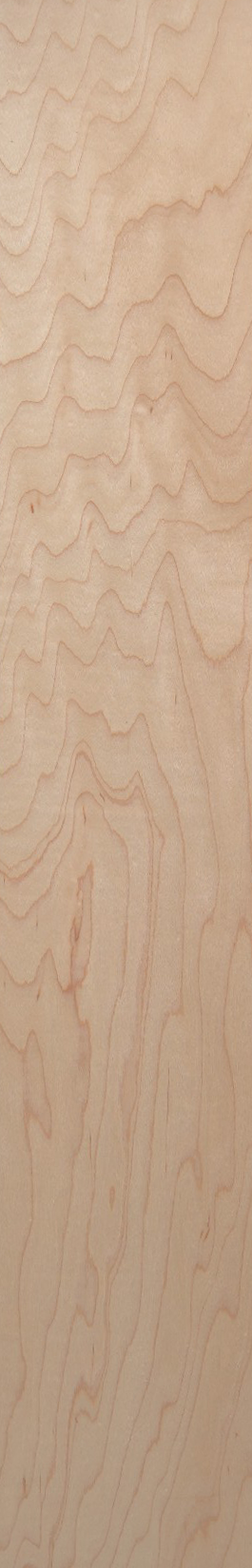 White Maple – Clear 21