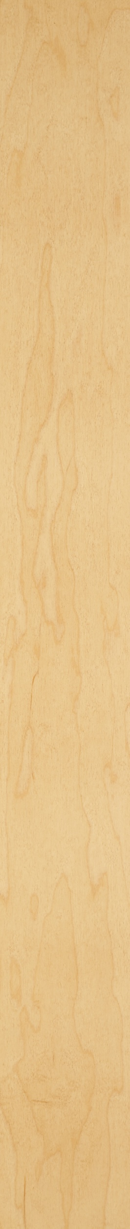 PS White Maple Veneer – Hemlock 19