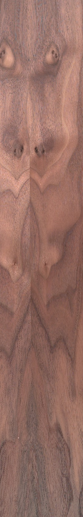 Walnut – Clear 15